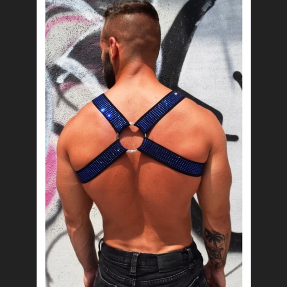 BREEDWELL Blue CIRCUIT HARNESS WITH D-RING - Picture 2 of 2